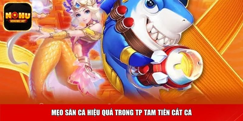 Mẹo săn cá hiệu quả trong TP Tam Tiên Cắt Cá